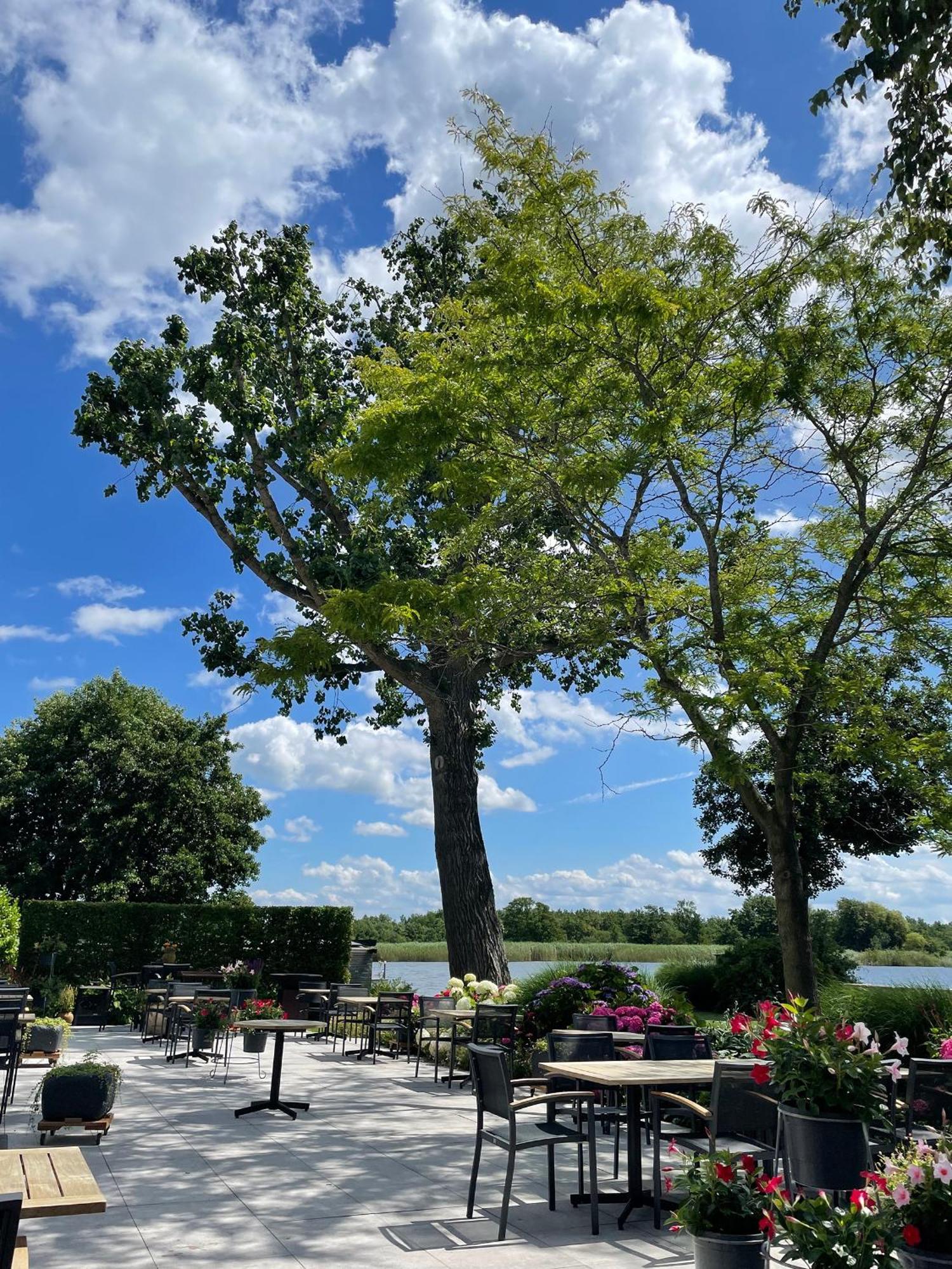 Restaurant-Hotel De Watergeus Noorden ภายนอก รูปภาพ